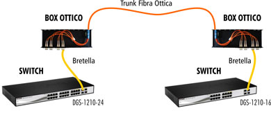 Collegamento in Fibra Ottica